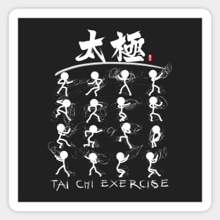 Tai Chi kung fu(功夫) Sticker